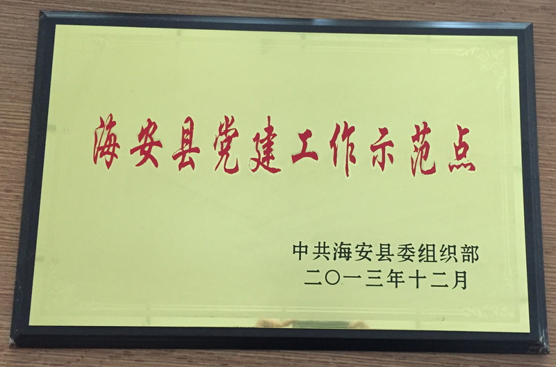 2013年度海安县党建工作示范点
